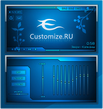 Customize